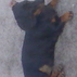 1078276_7540_tiny