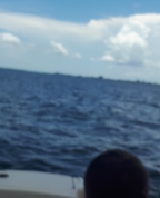 1780633_7316_profile