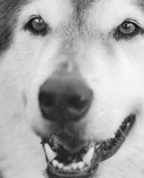 1797130_8390_profile