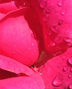 1790648_8121_profile