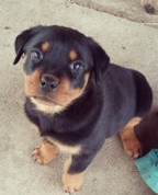 1700760_5467_profile