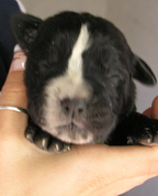 170694_97767_profile