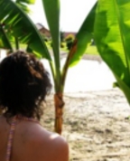 17272_396624_profile