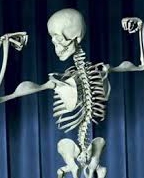 1812189_3638_profile