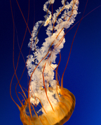 1814168_9274_profile