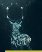 1815515_7696_profile