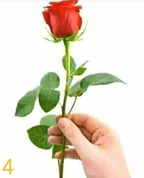 1801833_9607_profile