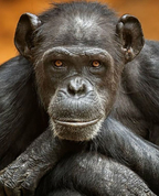 1833308_8358_profile