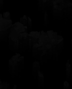 1833429_9229_profile