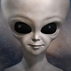 1834357_7094_tiny