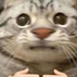 1835013_8847_tiny