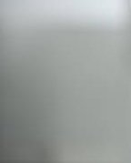 1835366_9623_profile