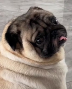 1836130_3933_profile