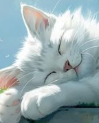 1836171_6182_profile