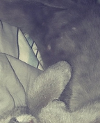 1837302_6978_profile