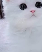 1837335_5270_profile