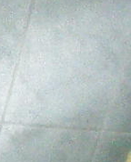 1837376_8463_profile