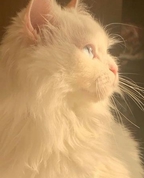 1837994_5721_profile