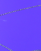 183890_13941_profile