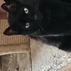 1843094_4075_tiny