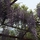 1804969_9272_mini