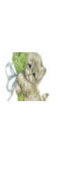 108028_40284_tiny