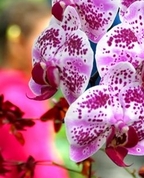 108369_54173_profile