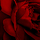 1091920_7651_mini