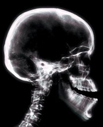 191823_58785_profile