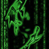 1097930_6607_tiny