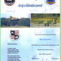 198333_90401_card