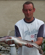 199409_32878_profile