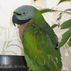 19355_720021_tiny