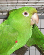 211480_89501_profile
