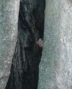 212960_10759_profile