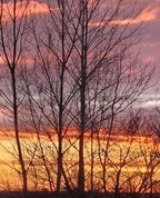 213386_66690_profile