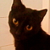 213450_65461_tiny