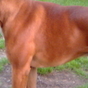 215594_73112_card