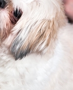 221497_34371_profile