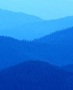221895_14941_profile