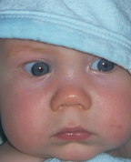 224201_20253_profile
