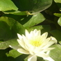 225397_64326_card