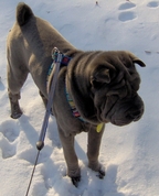226348_91920_profile