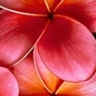 227026_51896_card