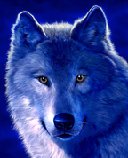 231203_94016_profile