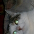 232704_45399_tiny