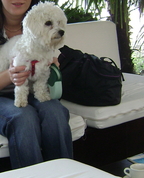 242677_79462_profile