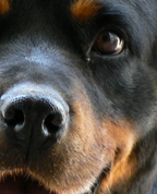 242755_71582_profile