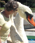 244052_57181_profile