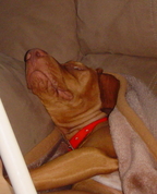 244218_79688_profile